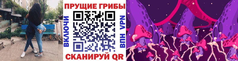 как найти закладки  Орёл  Галлюциногенные грибы Psilocybine cubensis 